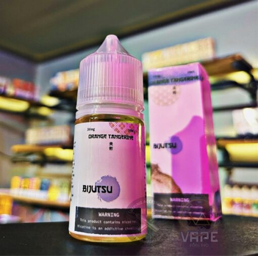 Bijutsu Saltnic Orange Tangerine ( Cam Quit ) 30ML - 30MG