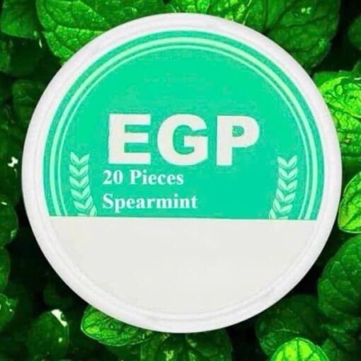 EGP Nicotine Pouches Spearmint ( Túi Ngậm Vị Bạc Hà Xanh ) - 9mg/pouch(18mg/g)