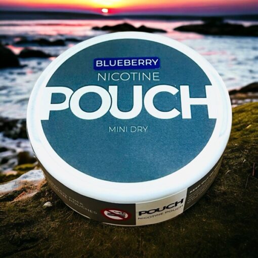 POUCH Nicotine Pouches Blueberry ( Túi Ngậm Cai Thuốc Lá Vị Việt Quất ) - 22MG