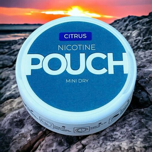 POUCH Nicotine Pouches Citrus Chill ( Túi Ngậm Cai Thuốc Lá Vị Cam Quýt ) - 12MG