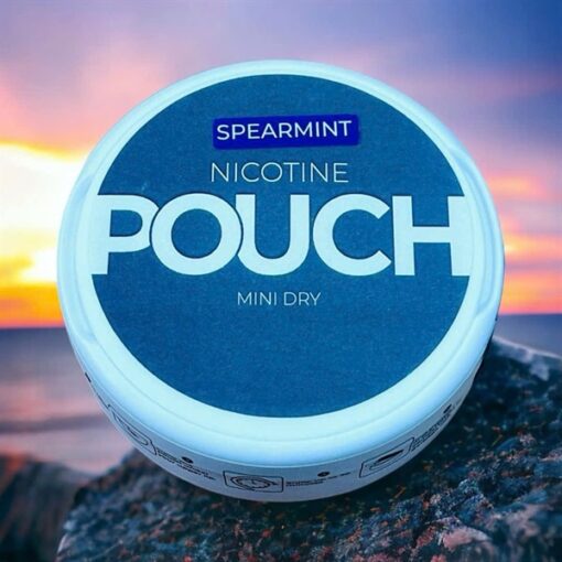 POUCH Nicotine Pouches Spearmint ( Túi Ngậm Cai Thuốc Lá Vị Bạc Hà Xanh ) - 8MG