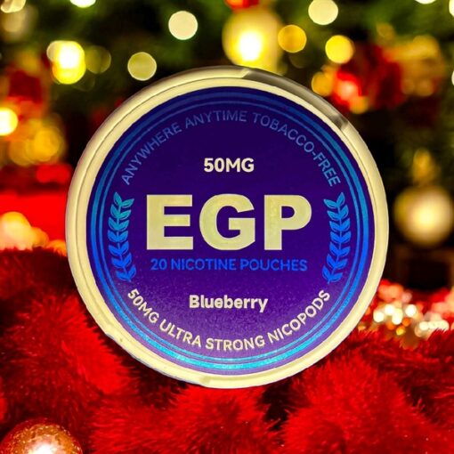 EGP Nicotine Pouches Blueberry ( Túi Ngậm Việt Quất ) - 27.5mg/pouch(50mg/g)