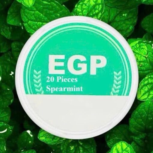 EGP Nicotine Pouches Spearmint ( Túi Ngậm Vị Bạc Hà Xanh ) - 3mg/pouch(6mg/g)