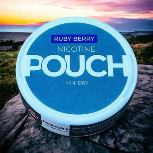 POUCH Nicotine Pouches Mini Dry Ruby Berries ( Túi Ngậm Cai Thuốc Lá Vị Mâm Xôi Ruby ) - 12MG